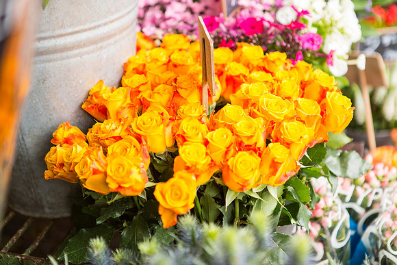 flowers