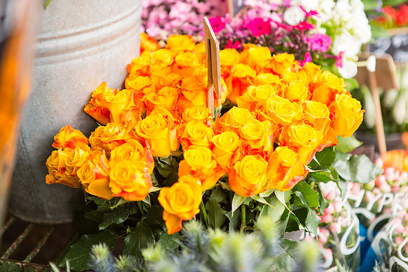 flowers